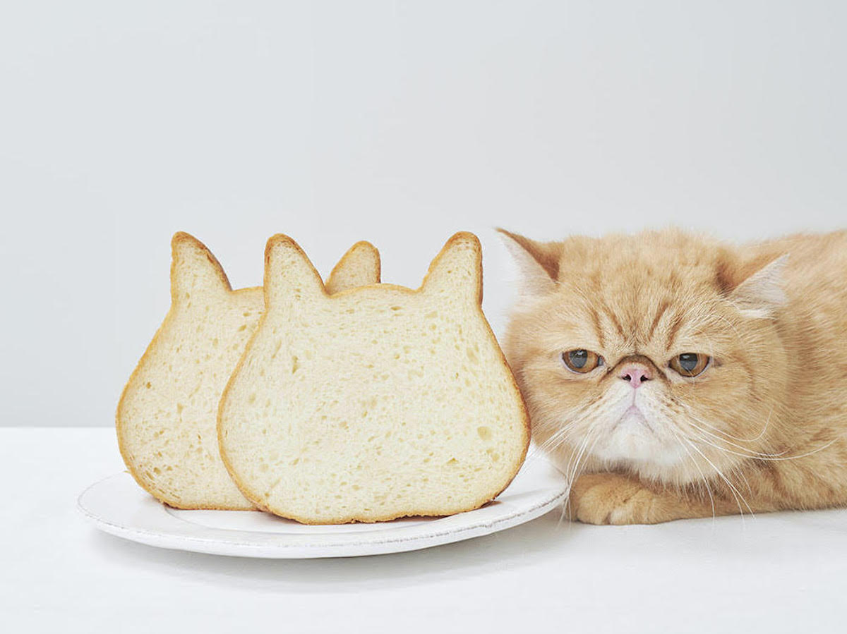 「プレーン」1本 590円、「三毛猫」1本 790円 ※その他期間限定フレーバーあり