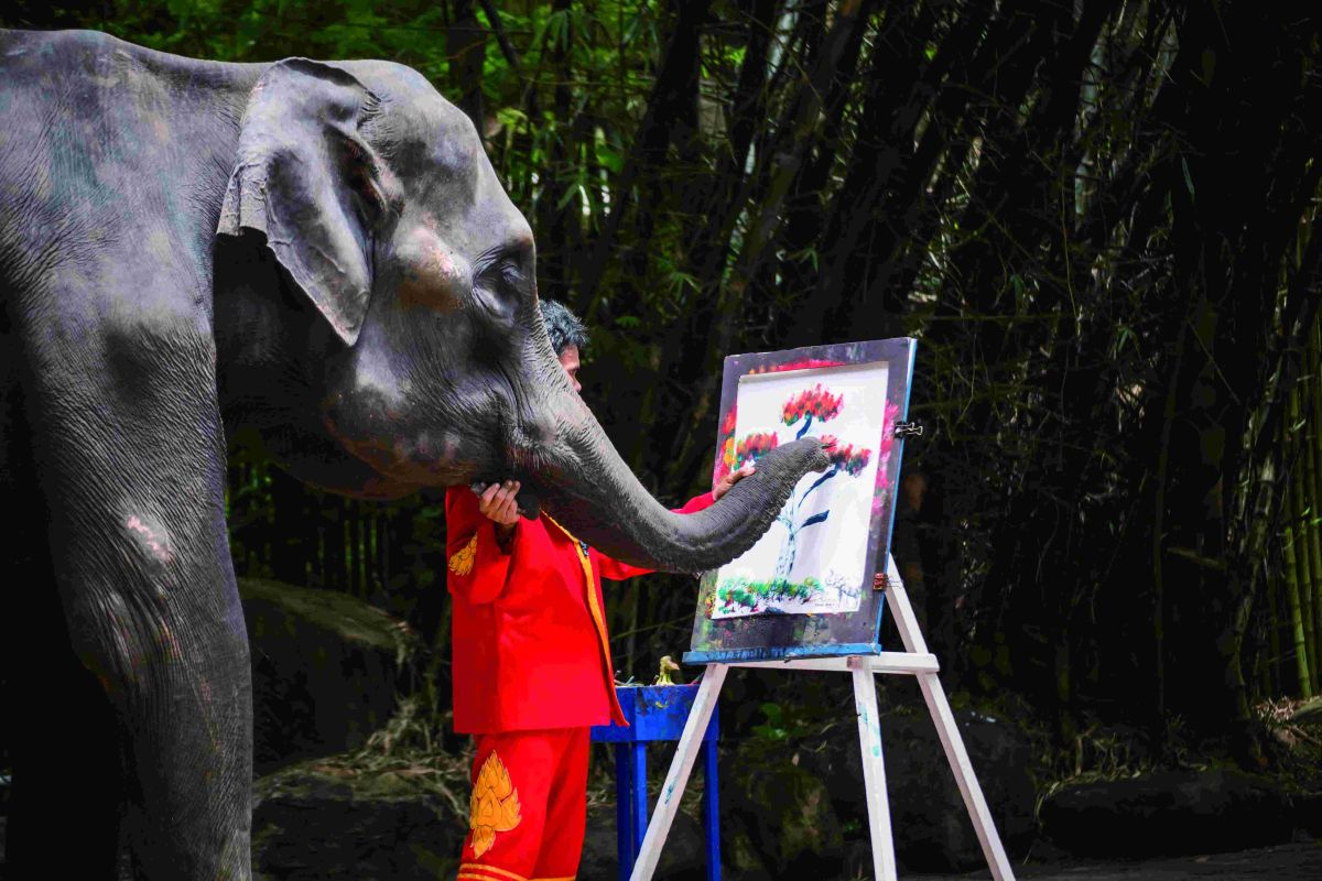 サファリ・ワールド 