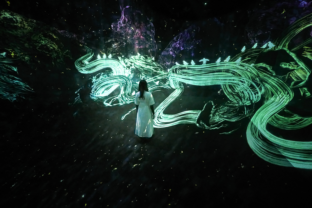 『追われるカラス、追うカラスも追われるカラス：虚空の宇宙』