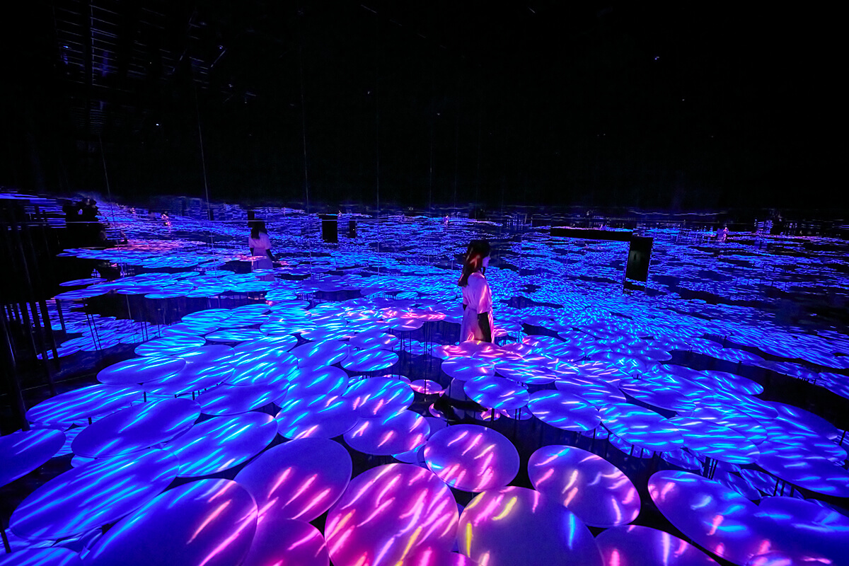 『地形の記憶』