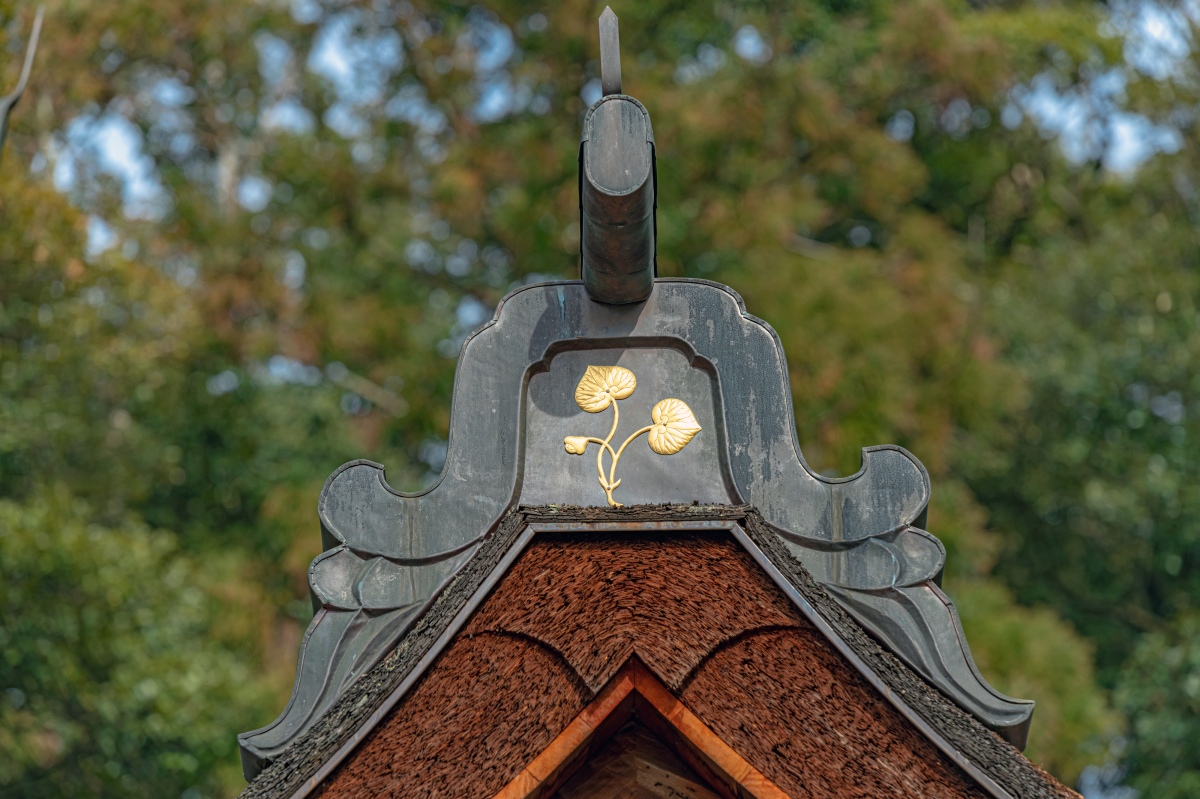 二葉葵（ふたばあおい）