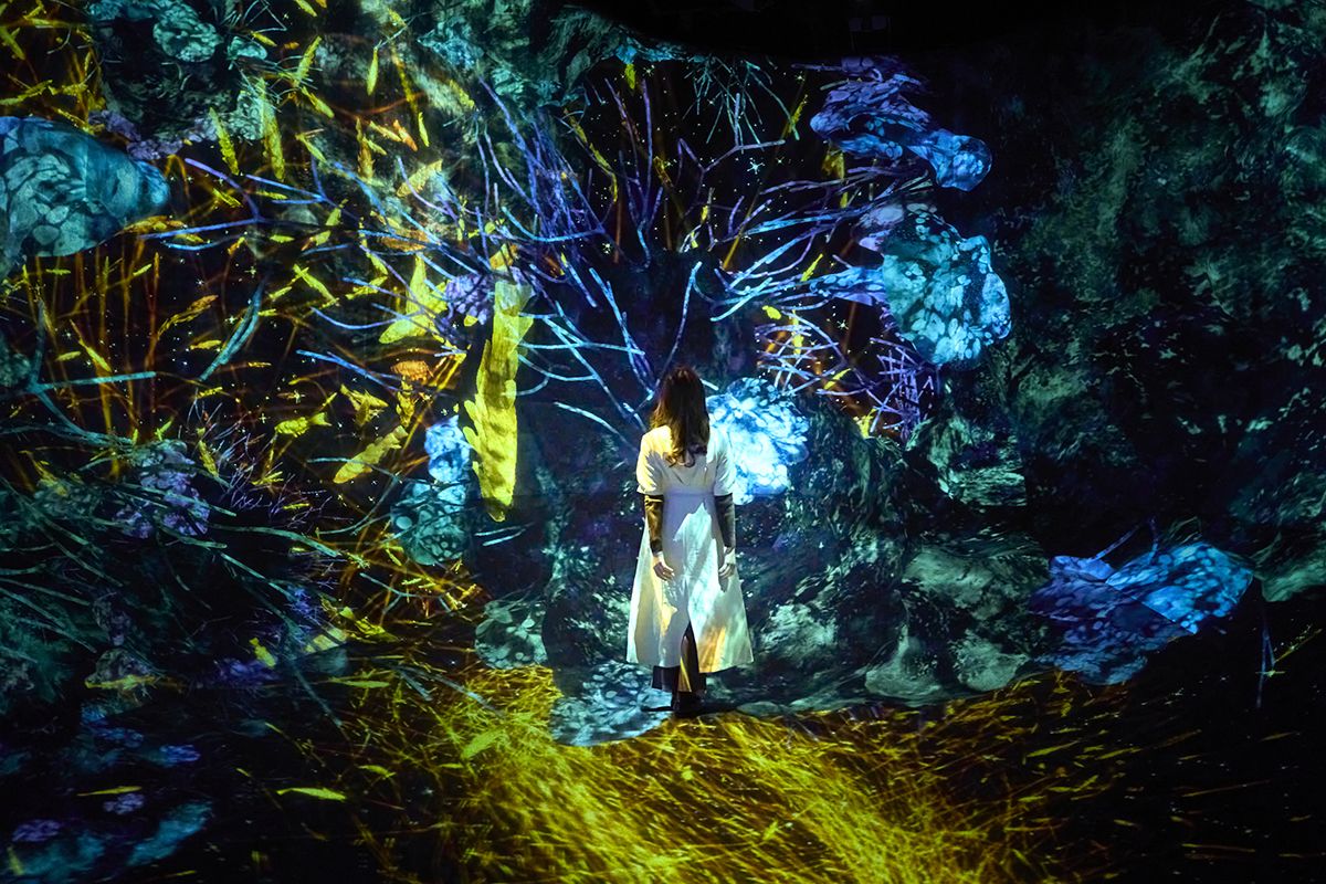 『The Way of the Sea: 虚空の宇宙』