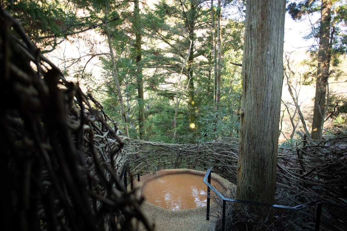 世界初のツリーハウス型金泉露天風呂「コルボ・デ・オウロ」