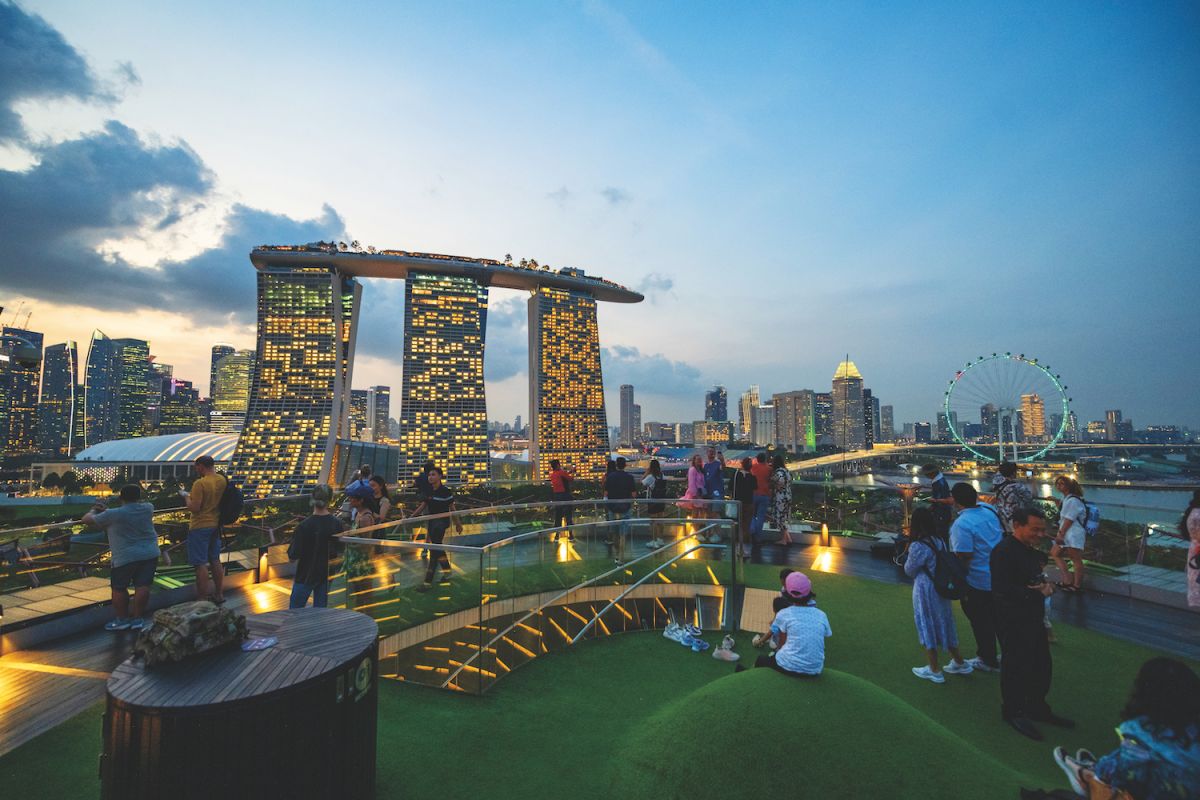 スーパーツリー展望台