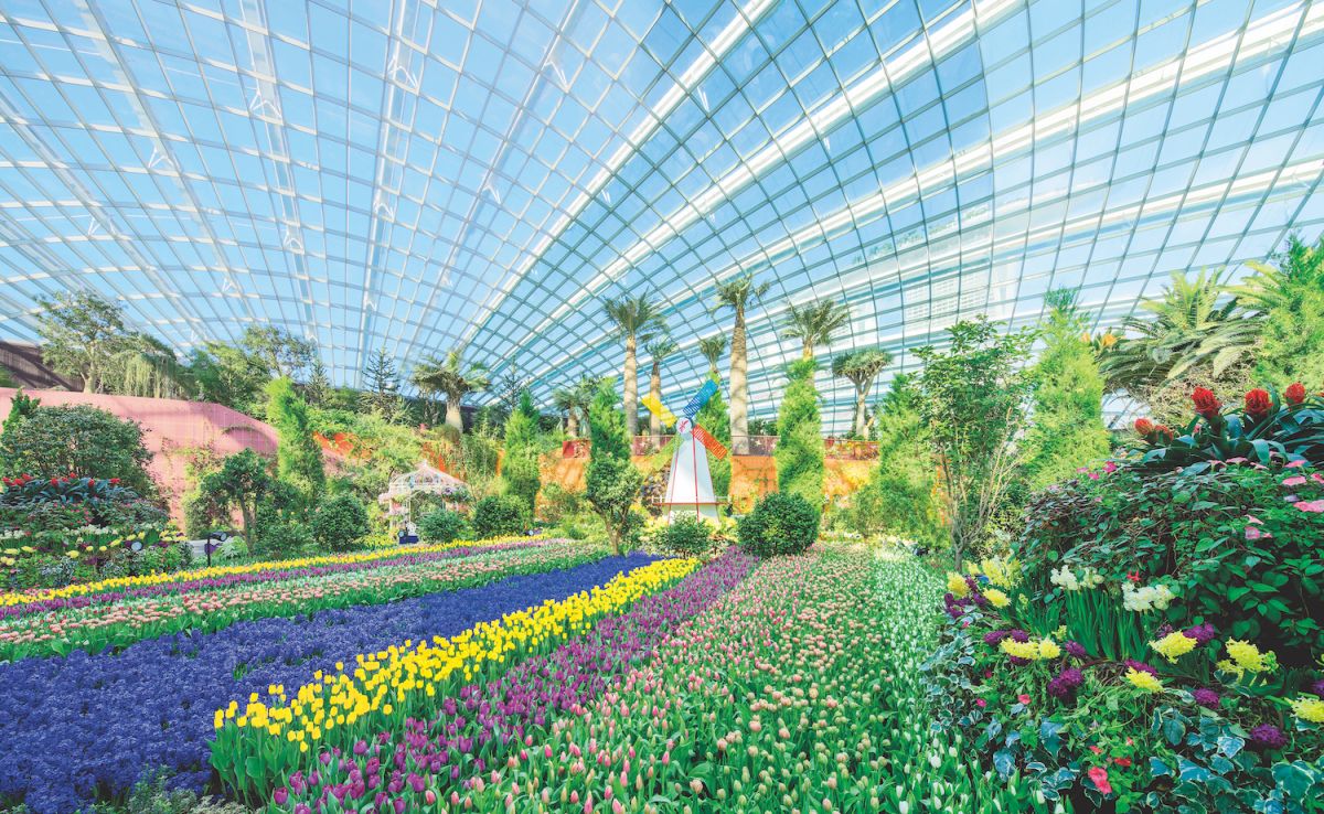 フラワー・ドーム