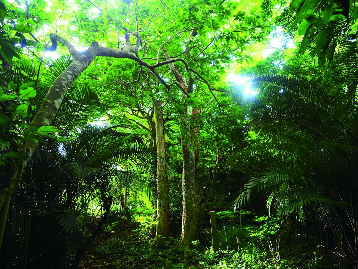 新ツアー 歴史のさんぽ道は、修学旅行や社員旅行・自由研究にもおすすめ