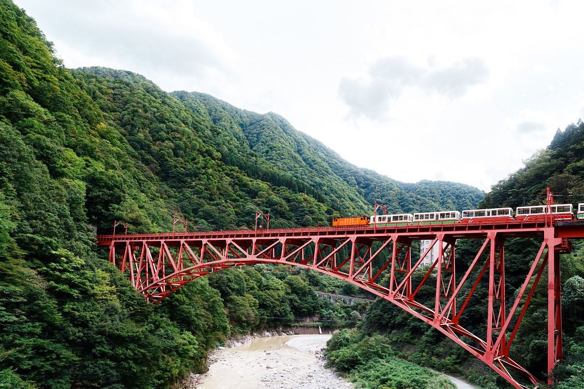 キャプション入るキャプション入る