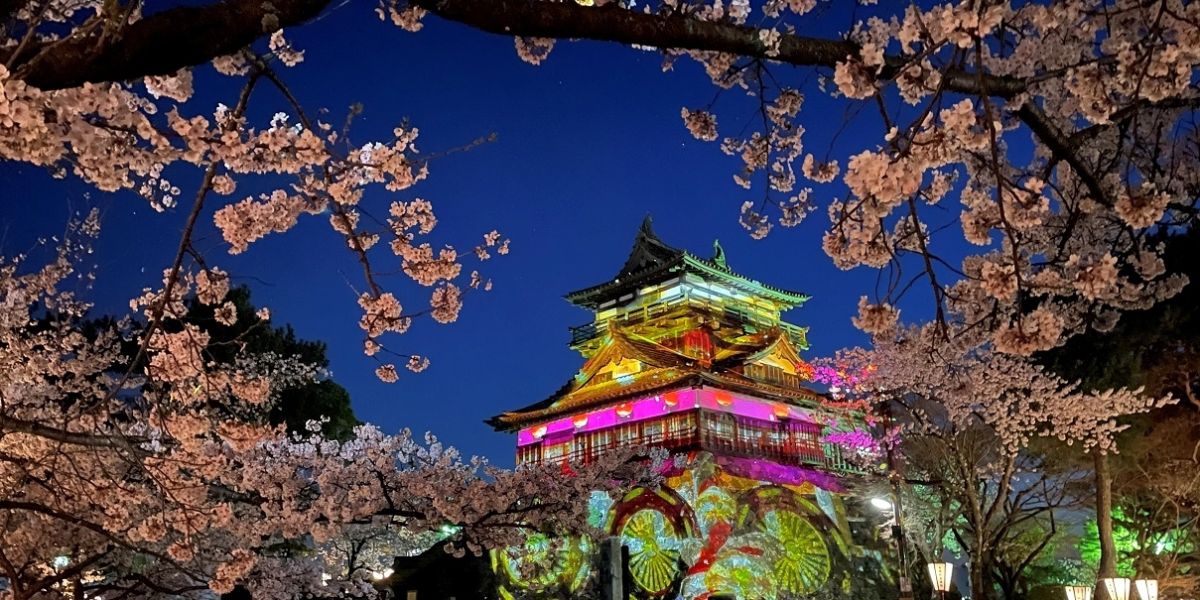 【福井県】北陸唯一の現存天守「丸岡城」をプロジェクションマッピングで彩る「ヒカリ結び」