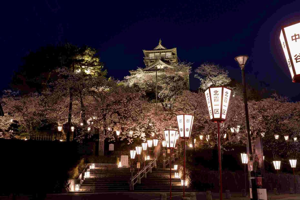 夜のライトアップも風情があって素敵です