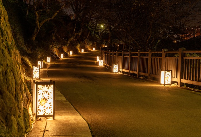 一つひとつ表情の違う行灯がやさしく足元を照らします