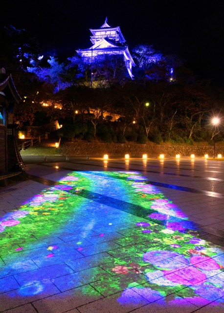 お天守前公園のプロジェクションマッピングは日没から22時まで上映。写真は季節の草花の映像を通して四季の移り変わりを楽しむコンテンツ