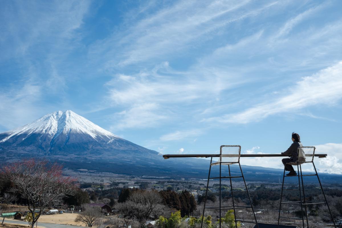 スカイカウンター