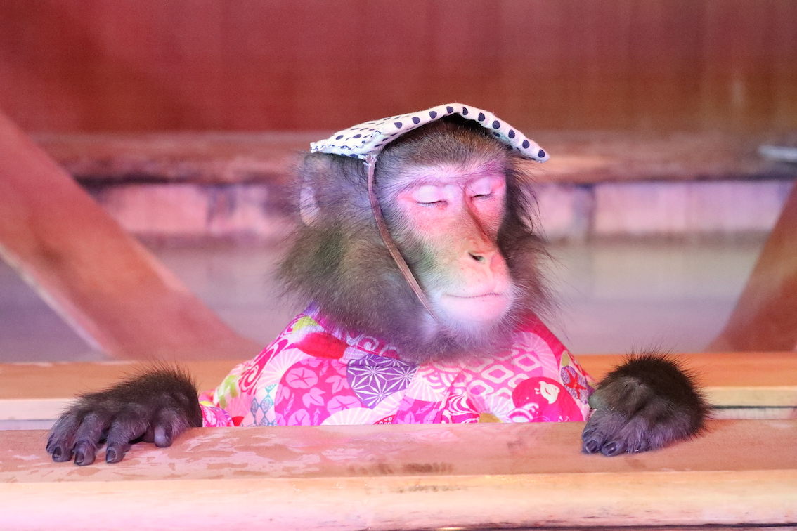 いい気持ちで湯船に入る名人