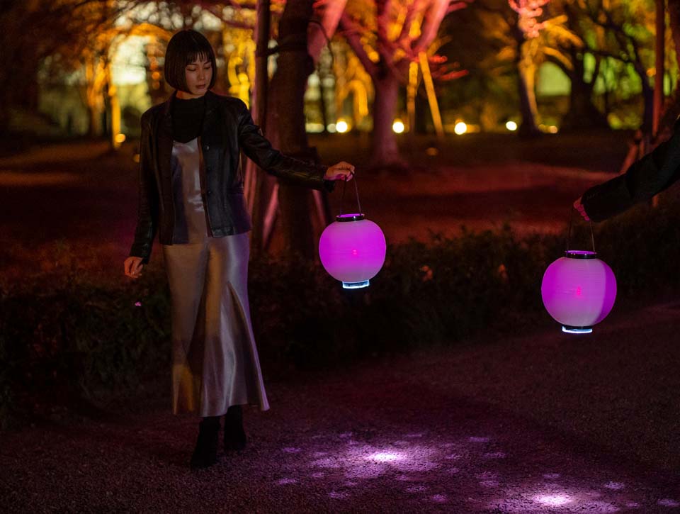 NAKED 桜まつり 2024 世界遺産・二条城