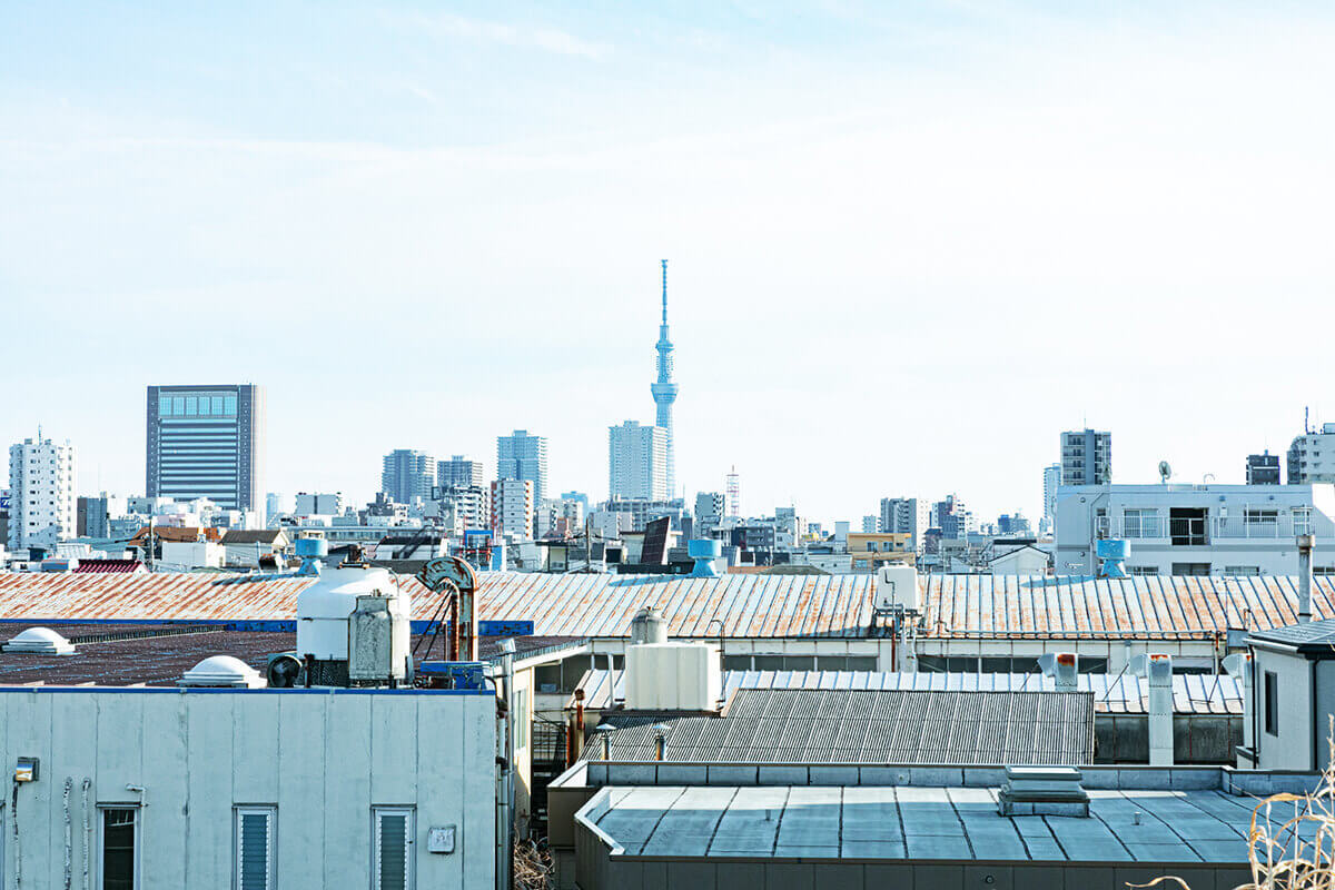 荒川土手を北千住駅方面に歩くと左側には荒川、右手にはスカイツリーの姿が