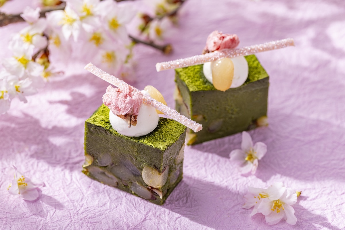 「よもぎと桜のティグレ」