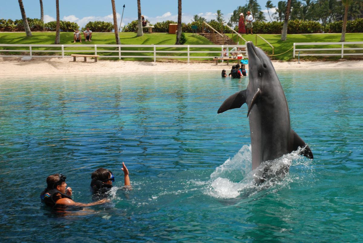 ヒルトン・ワイコロア・ビレッジ