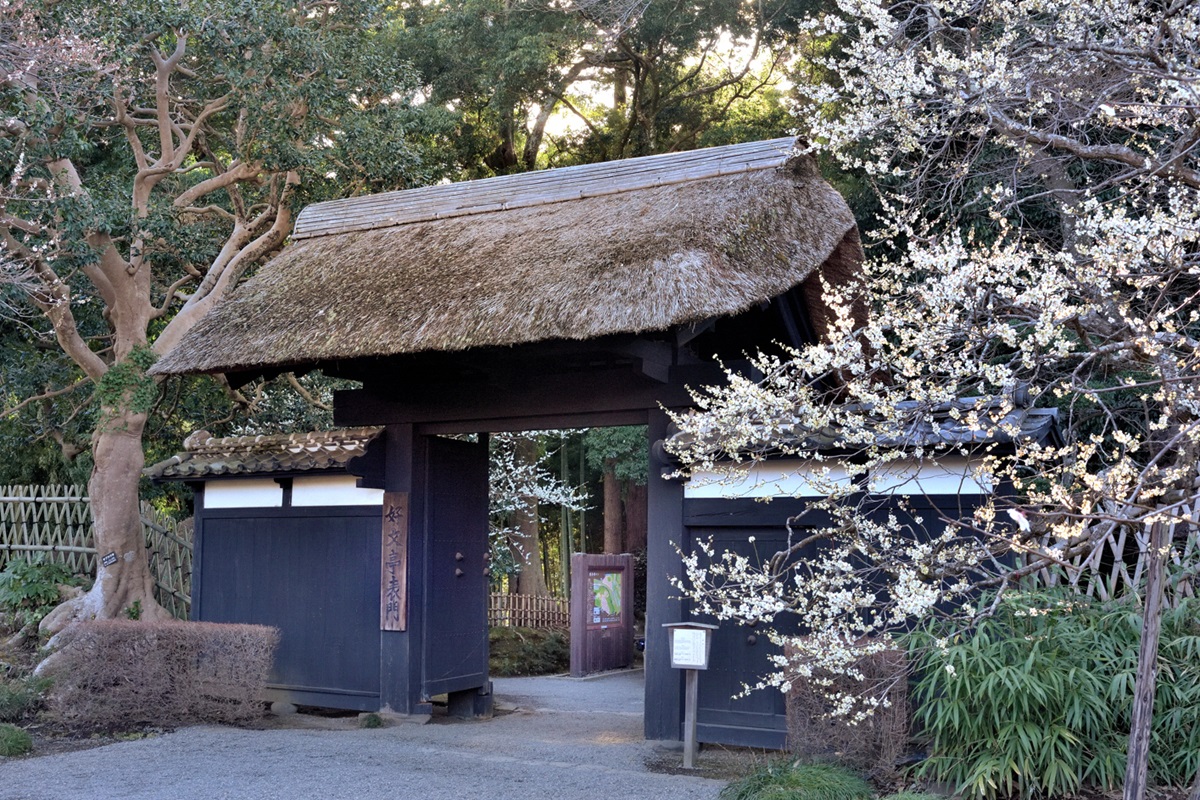 昭和20年（1945）の戦火にも焼け残った好文亭表門