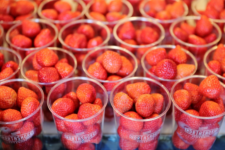 NORTHSHORE CAFE&DINING 北浜店