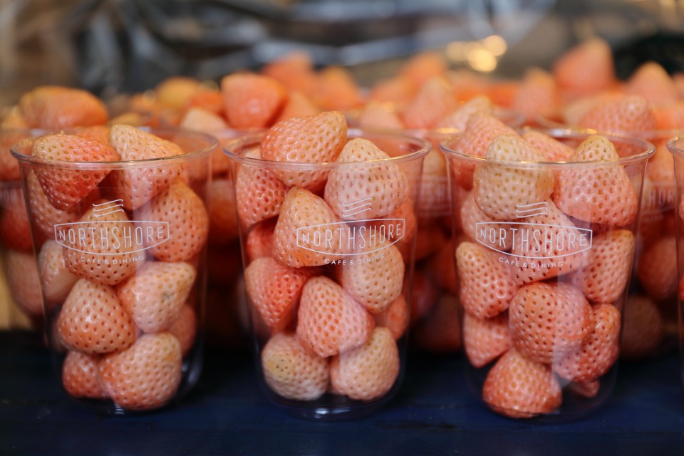 NORTHSHORE CAFE&DINING 北浜店