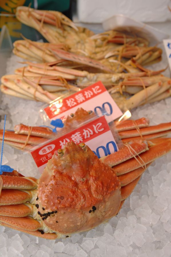 冬は津居山漁港などに水揚げされた松葉ガニも販売。2階で味わうこともできる