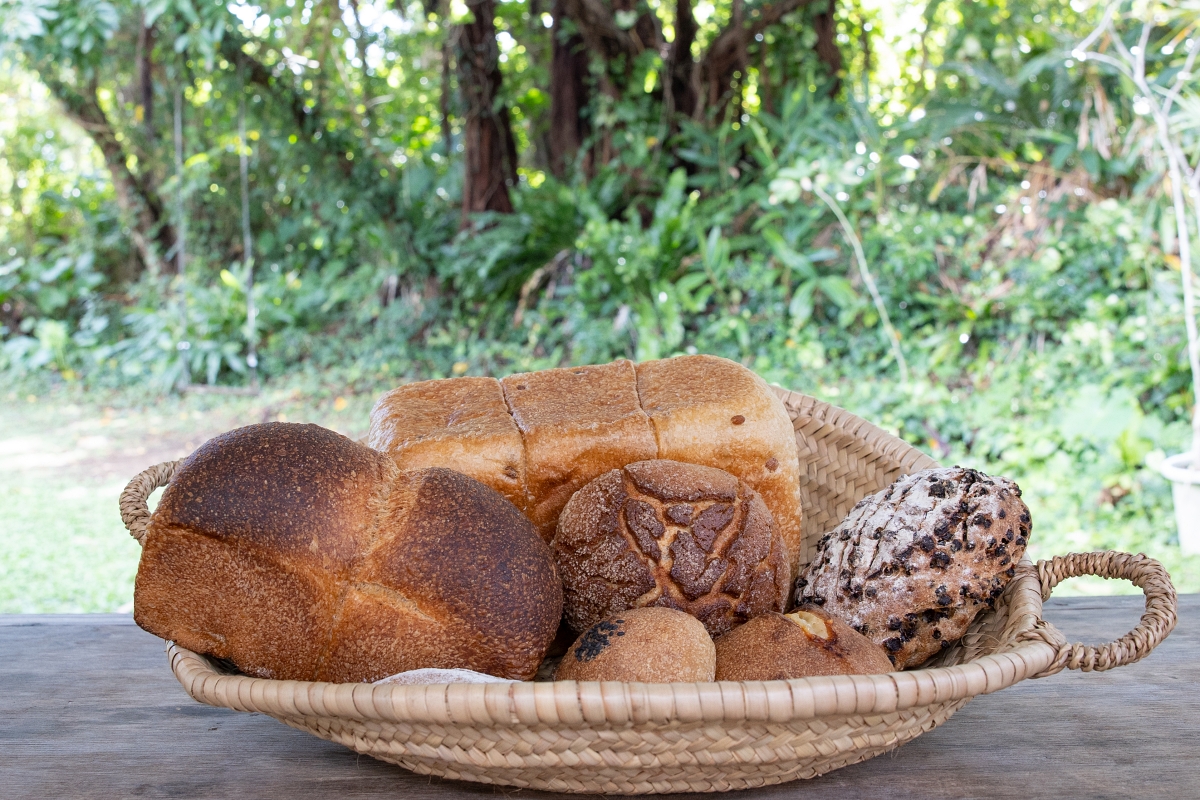 素朴だけど味わい深く、余韻が続くパン