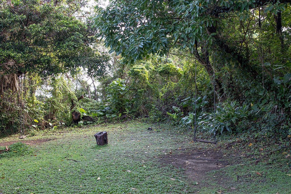 お店の裏側は緑に囲まれた広い庭