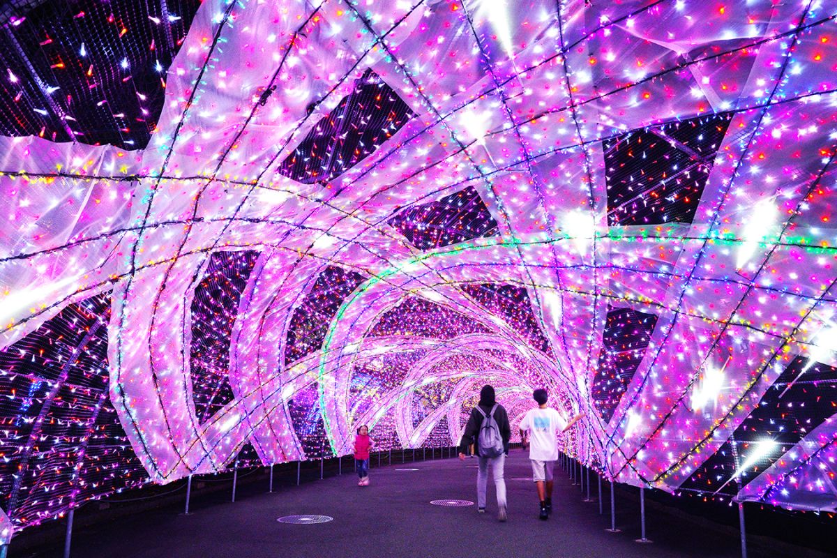 カラフルなラインは人々の愛が交差する情景を表現しています