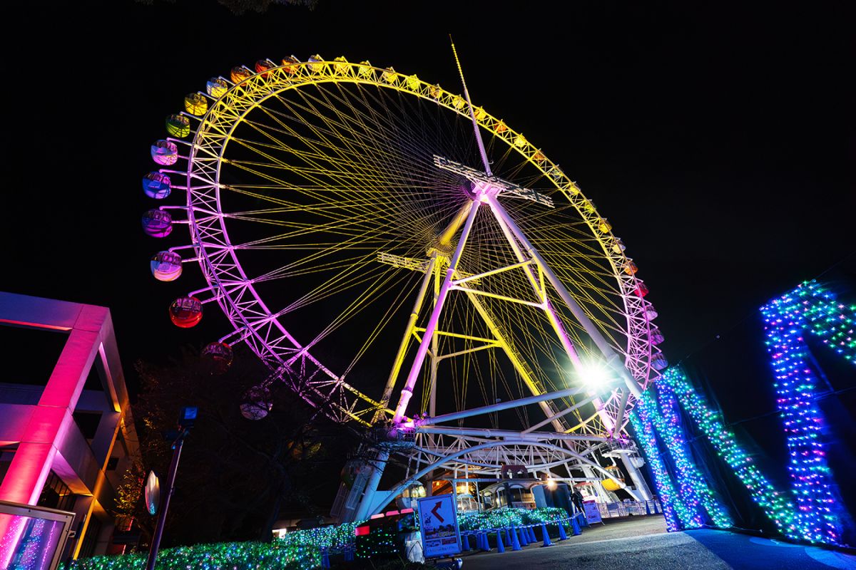 園内のイルミネーションを一望できる「大観覧車」。1回800円（アフターパス利用不可）