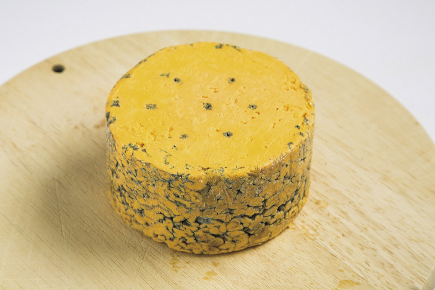 チーズの店コンテ