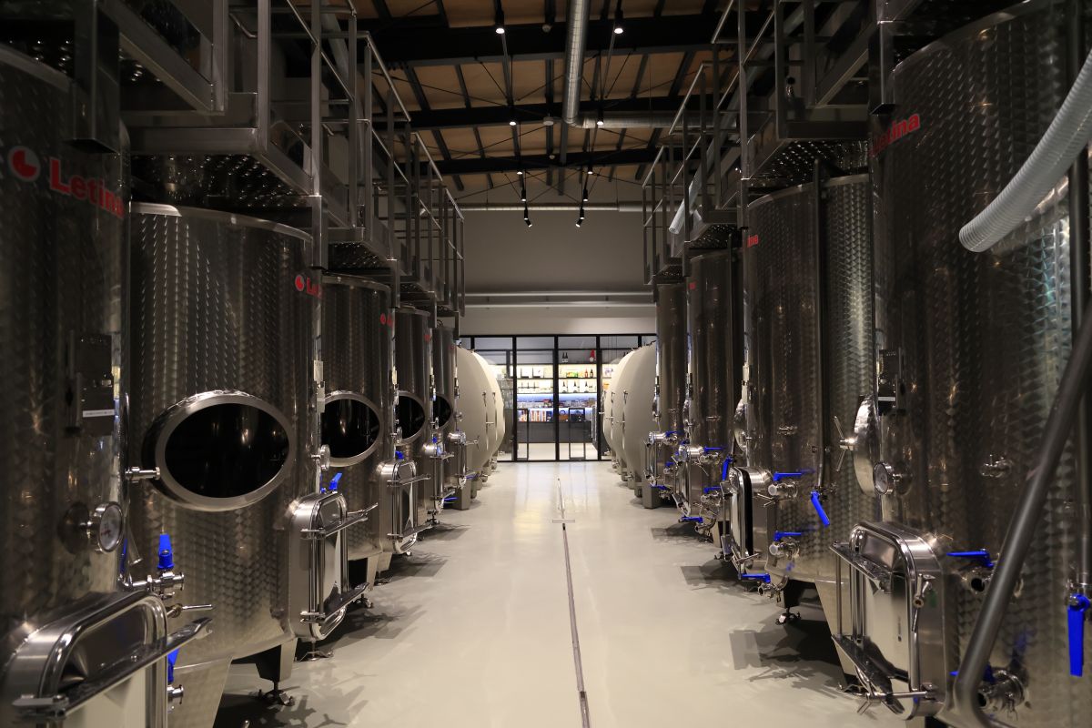 「ワインが生まれる場所を見て、感じてほしい」とミュージアム的に魅せる要素も取り入れている