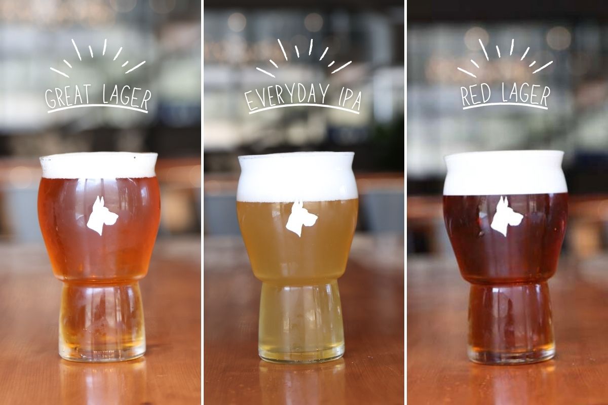 注文したビール