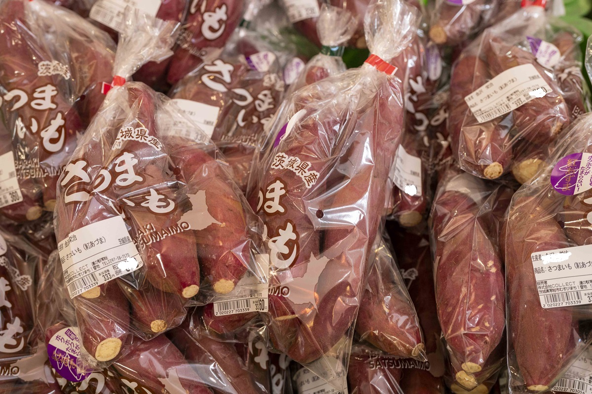 さつまいもはブームの紅はるかが主力