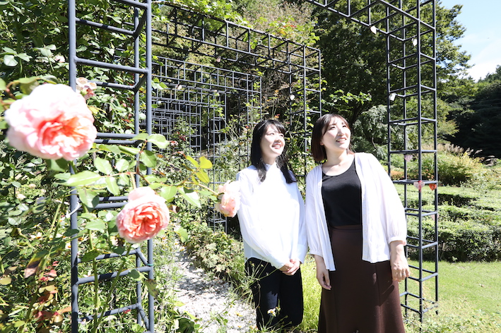 イングリッシュローズが咲く「緑のトンネル」