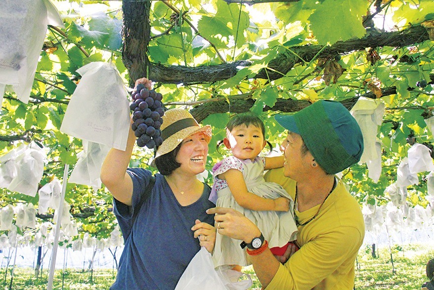 榛東村ぶどう郷