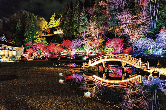 えさし藤原の郷