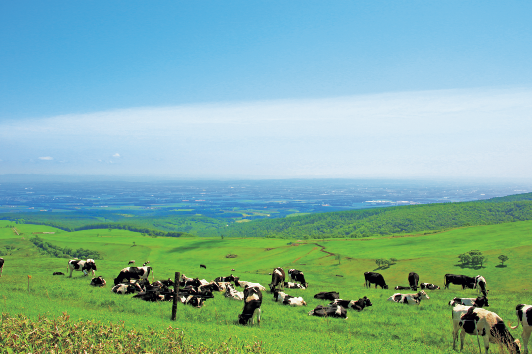 【北海道】十勝ならではの雄大な風景とグルメ＆スイーツを満喫！　北の大地の絶景へ　十勝・帯広ドライブ