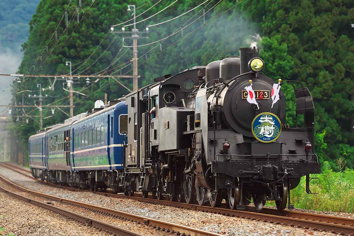 のんびりと車窓の景色を楽しめるSL大樹