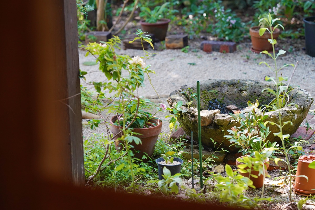 Cafe Kanoa(カフェ カノア)