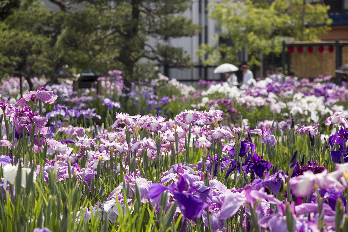 CAP入る～～～～