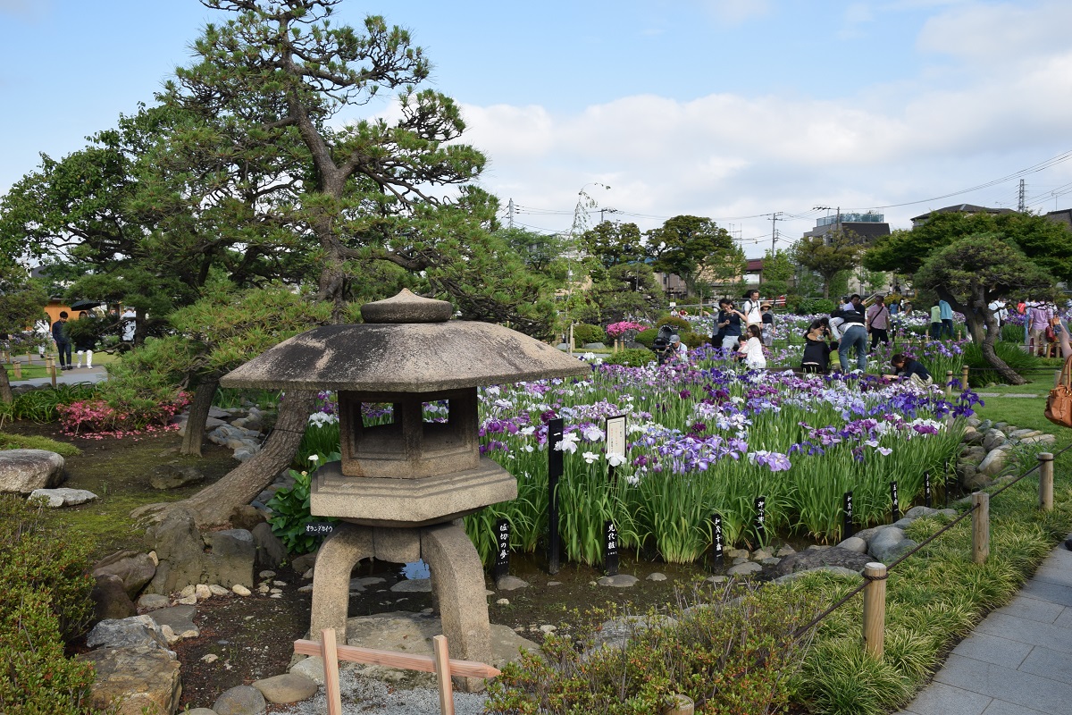 CAP入る～～～～