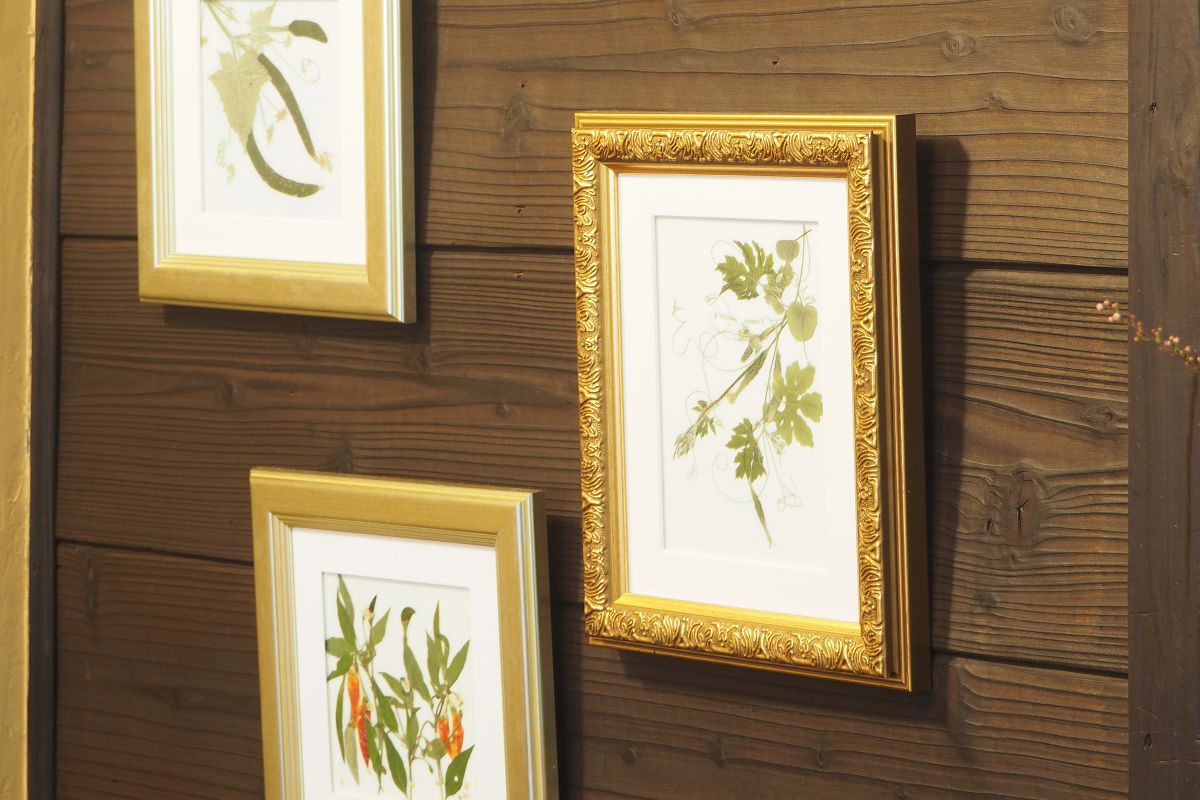 壁に飾られた額装された押し野菜