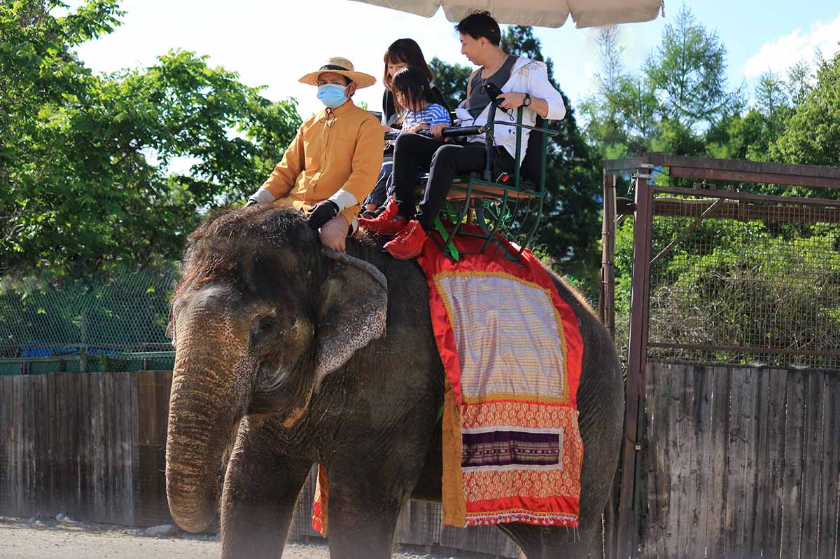 ゾウライドの利用は10～15時。所要約10分