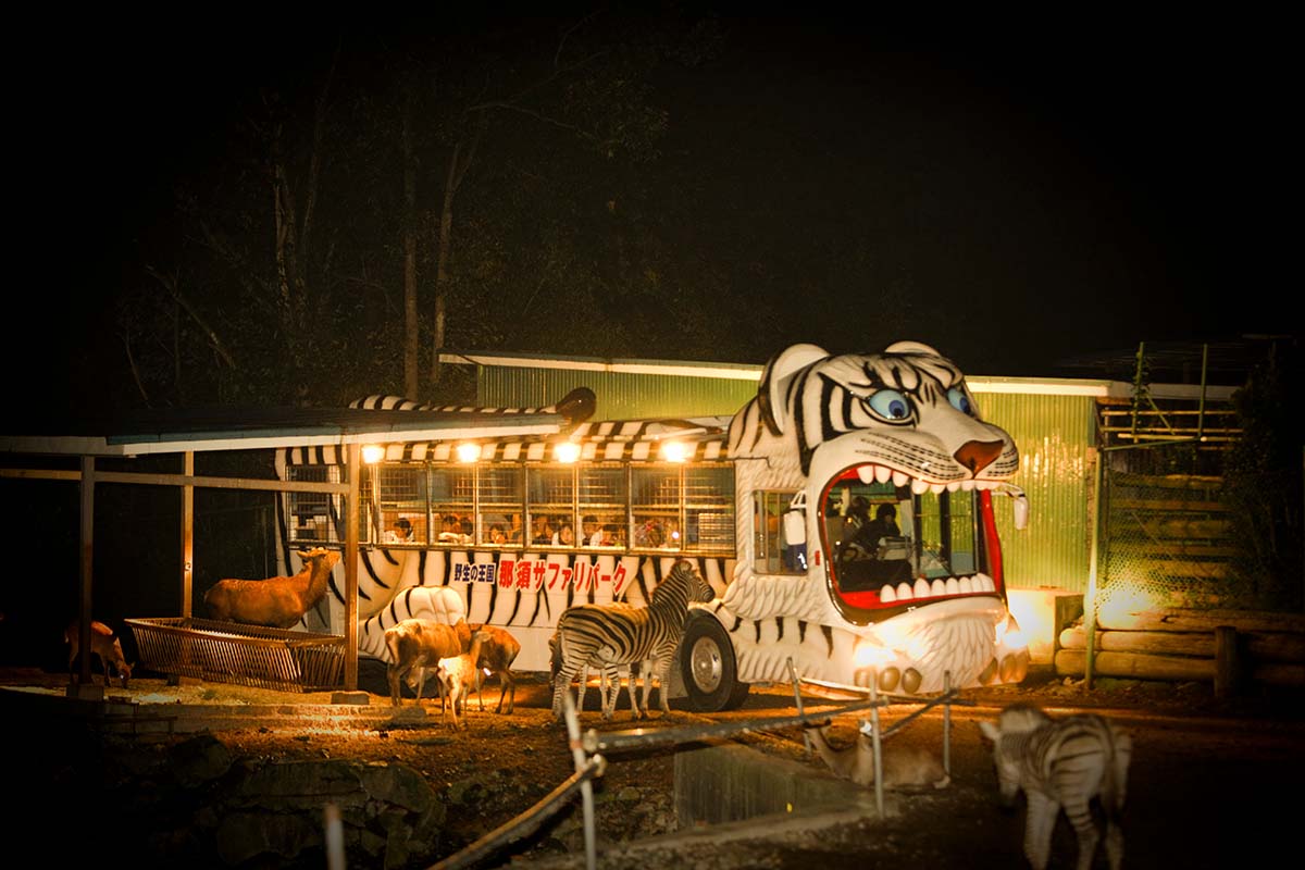 ナイトサファリ