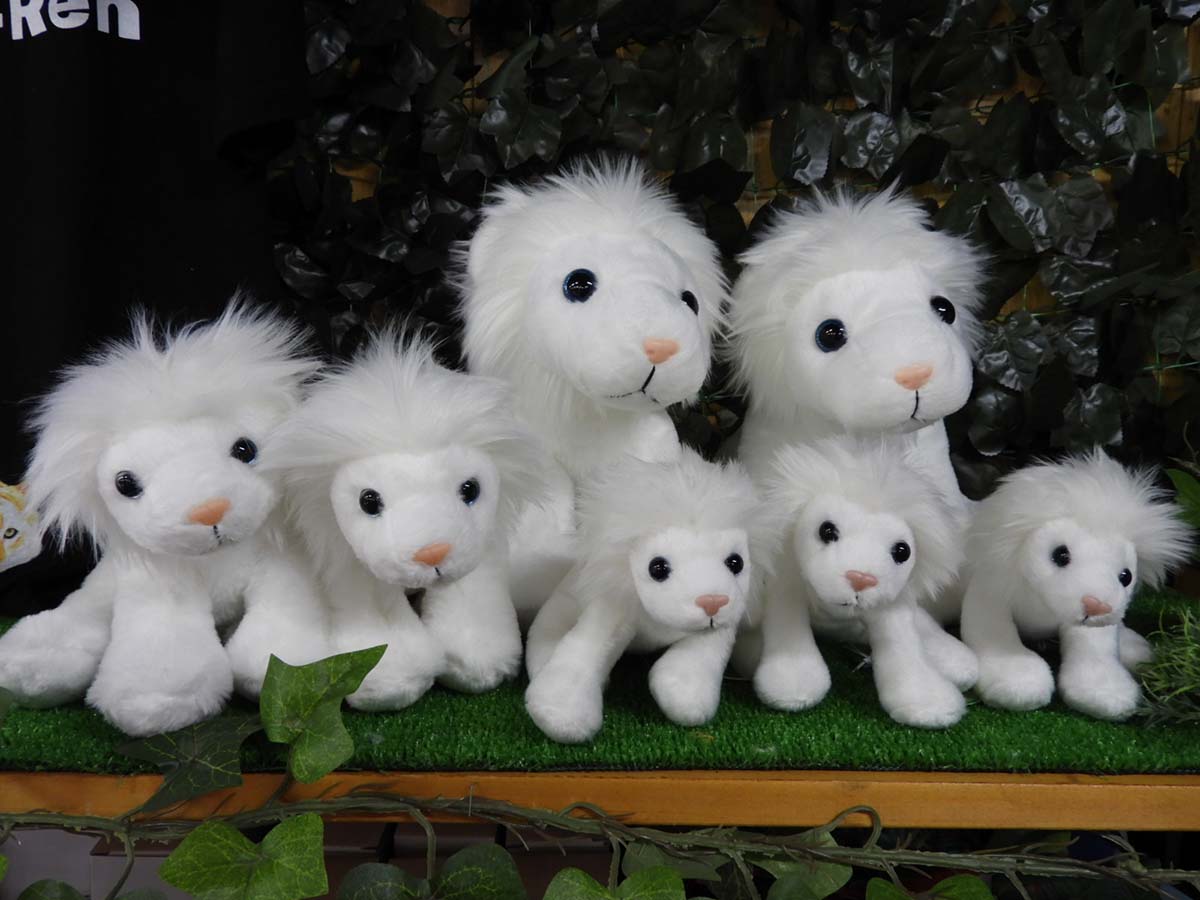 那須サファリパーク　お土産　ホワイトライオンぬいぐるみMサイズ1980円