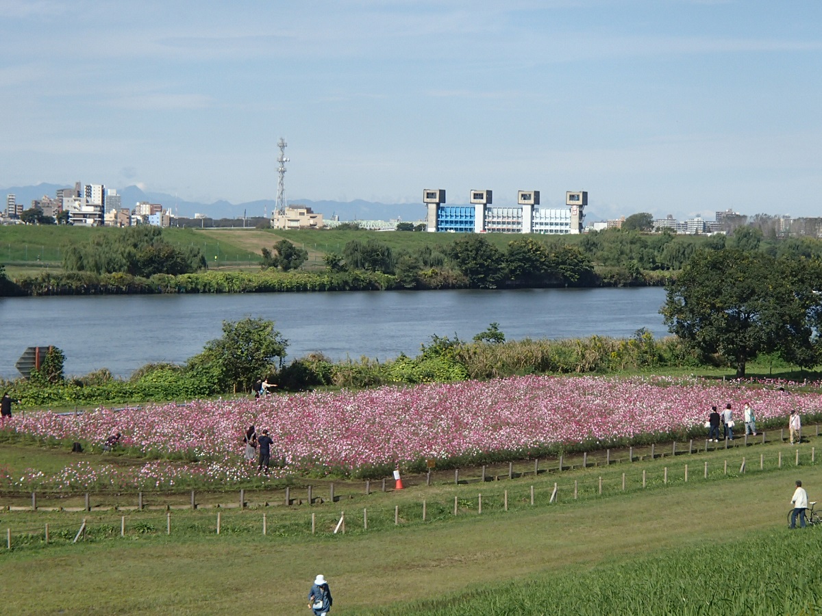 CAP入る～～～～