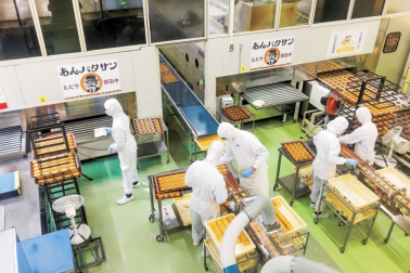 見学通路からガラス越しに見える工場の様子