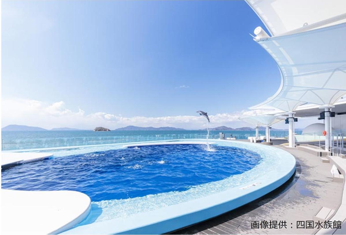 地域文化を感じさせる演出も！「四国水族館」