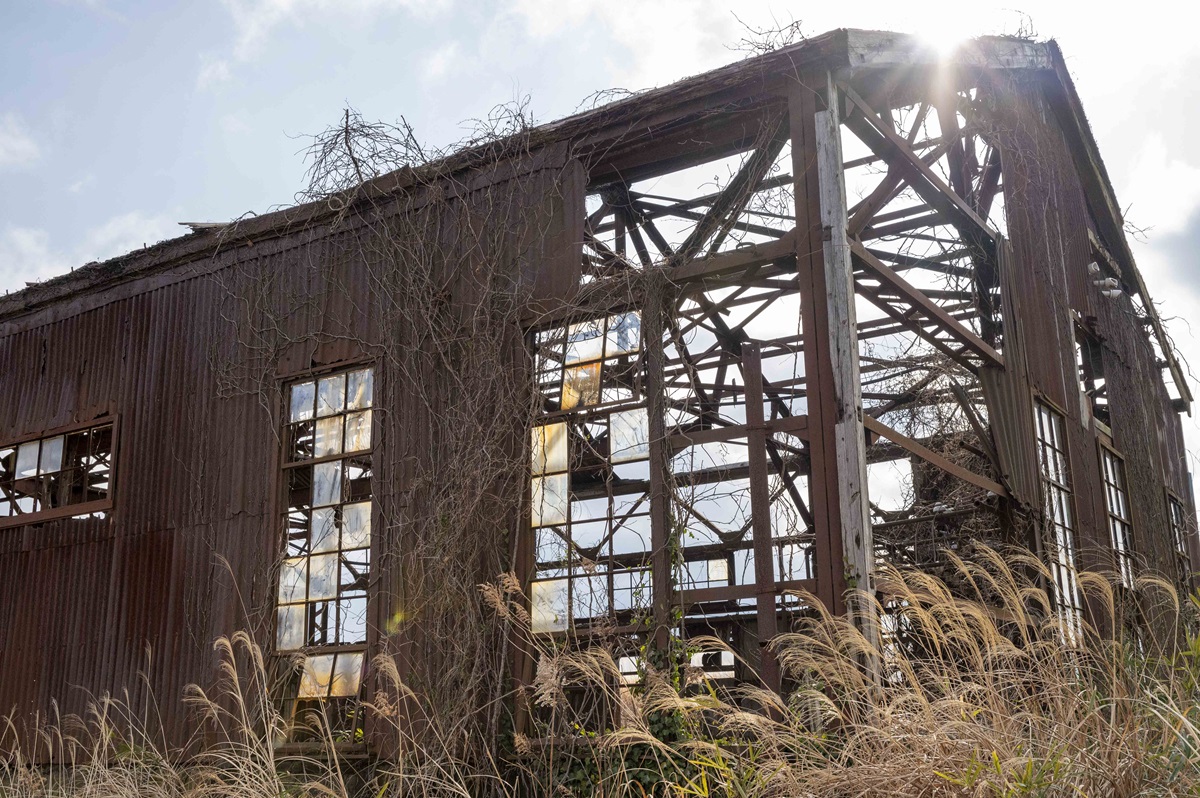 独特の雰囲気を残しながらも、今は十分に管理され、安心して見学できる