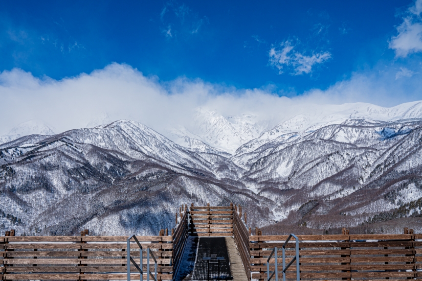 オープン以来、一躍人気となった「HAKUBA MOUNTAIN HARBOR」は四季折々の景観が楽しめます